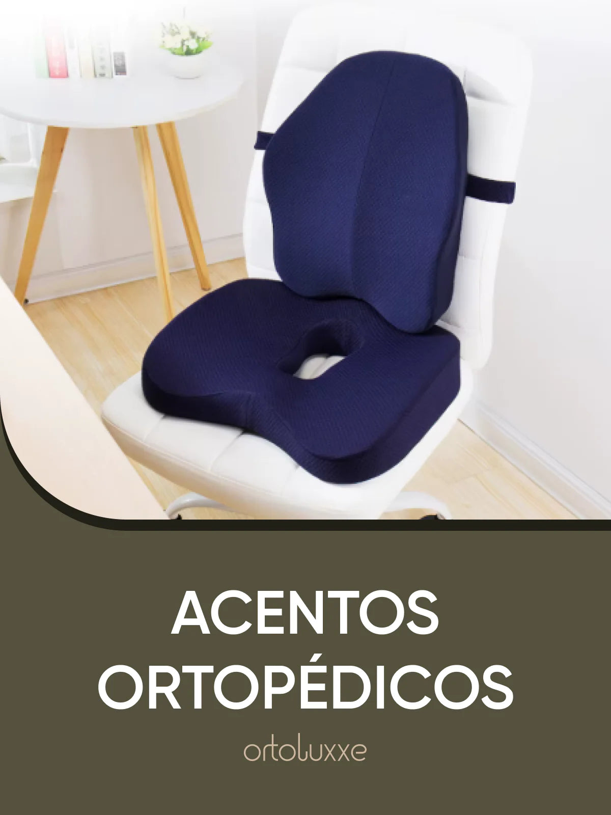 Assentos Ortopédicos