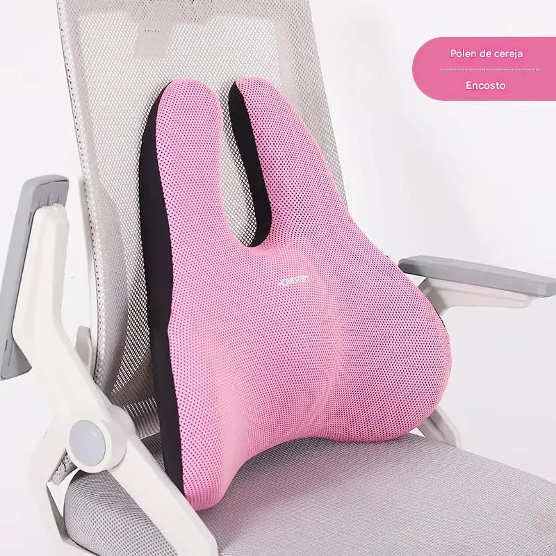 Almofada de Assento Memory Foam com Suporte Lombar